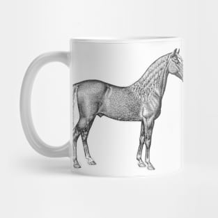 Palomino Horse Black and White Illustration Mug